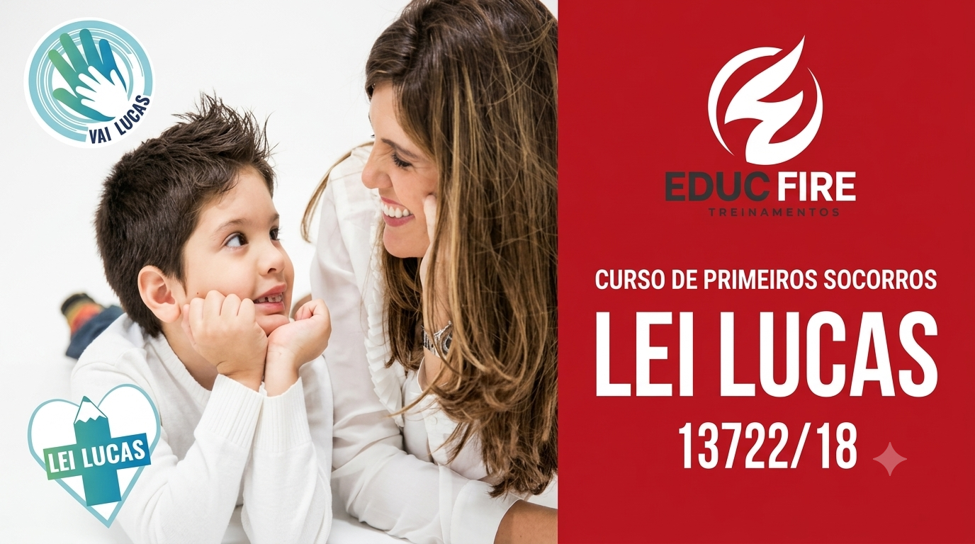 Lei Lucas 13722 de 2018